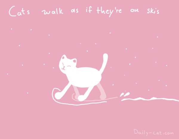 Cats walk like on Skis
